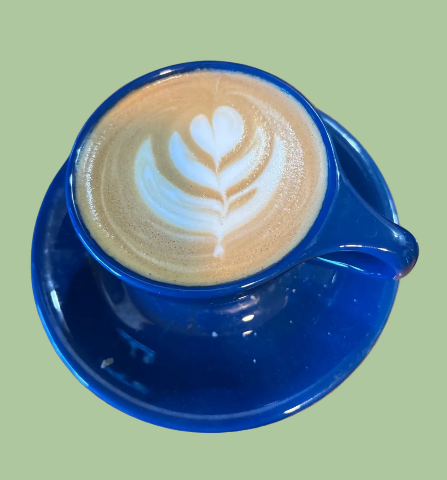 Cappucino